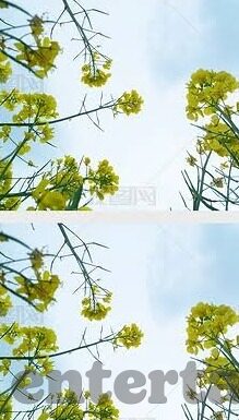 901足球比分网-深度揭秘，901足球比分网——球迷的实时数据宝藏库